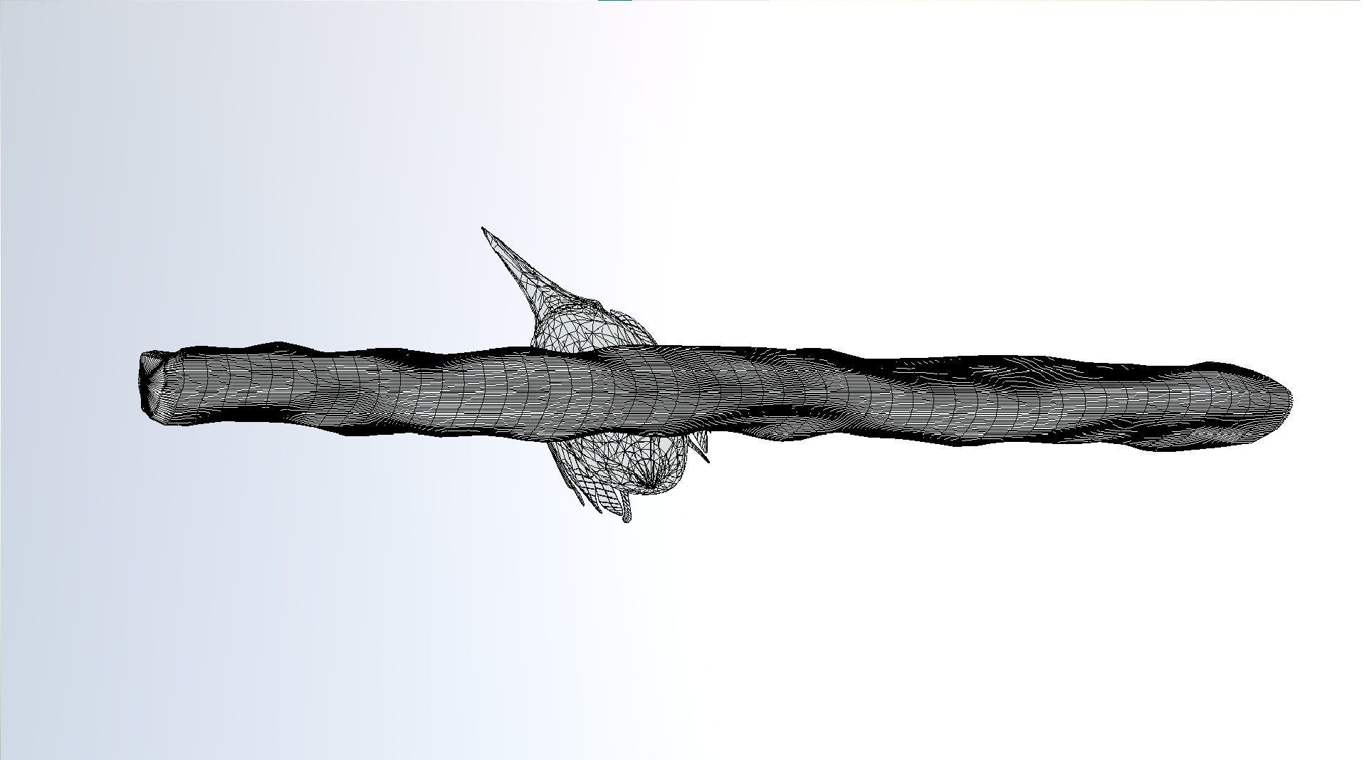 Kingfisher Bird Low-poly 3D model_14