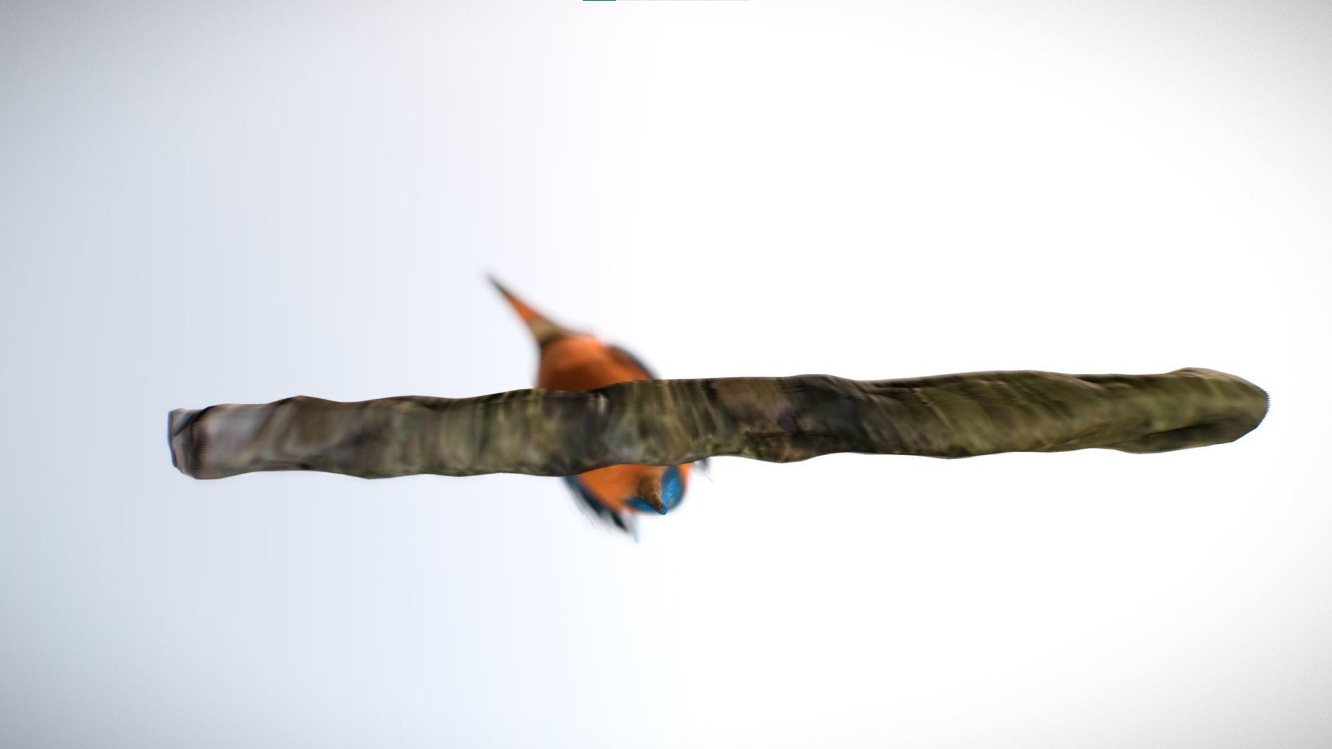 Kingfisher Bird Low-poly 3D model_2