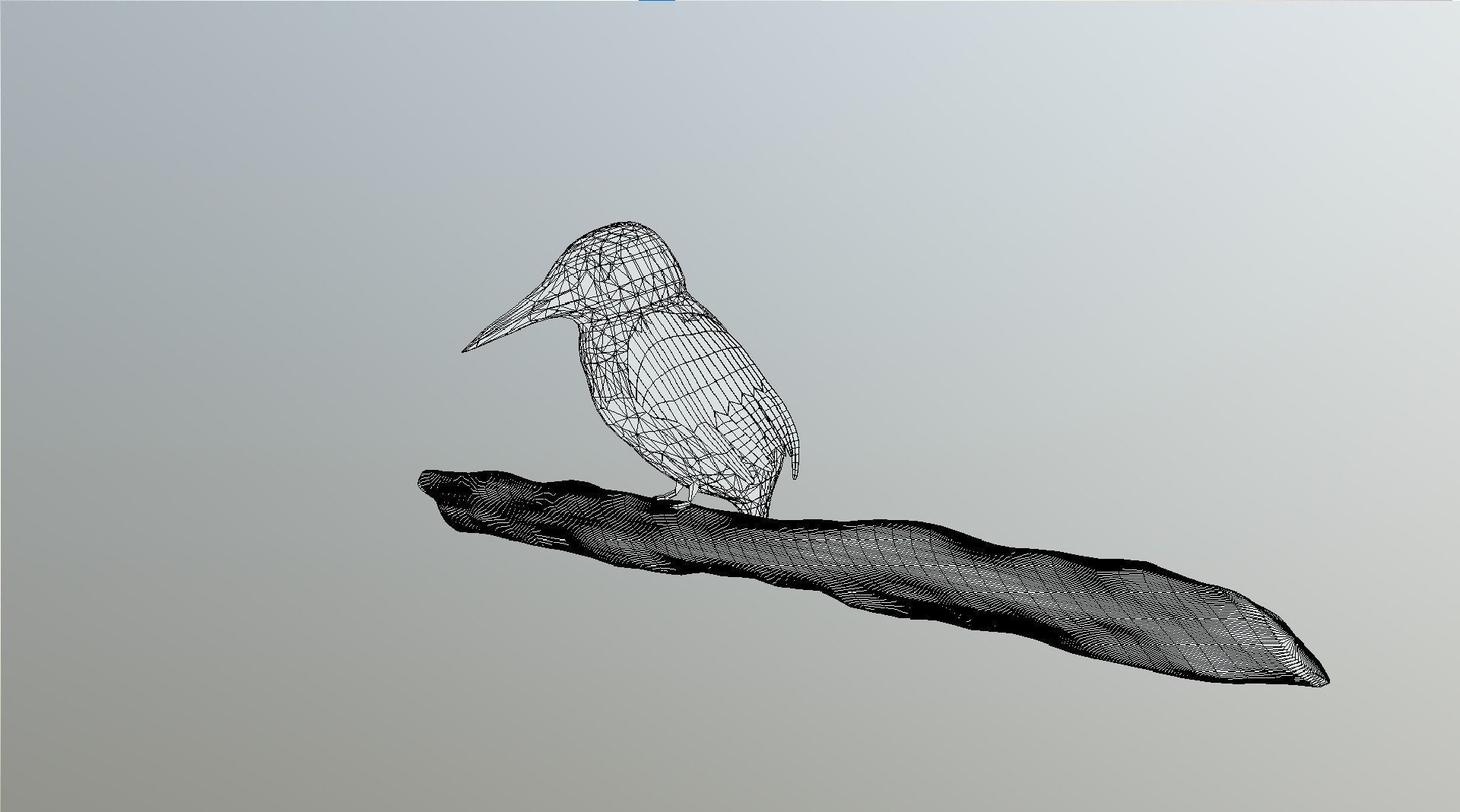 Kingfisher Bird Low-poly 3D model_9