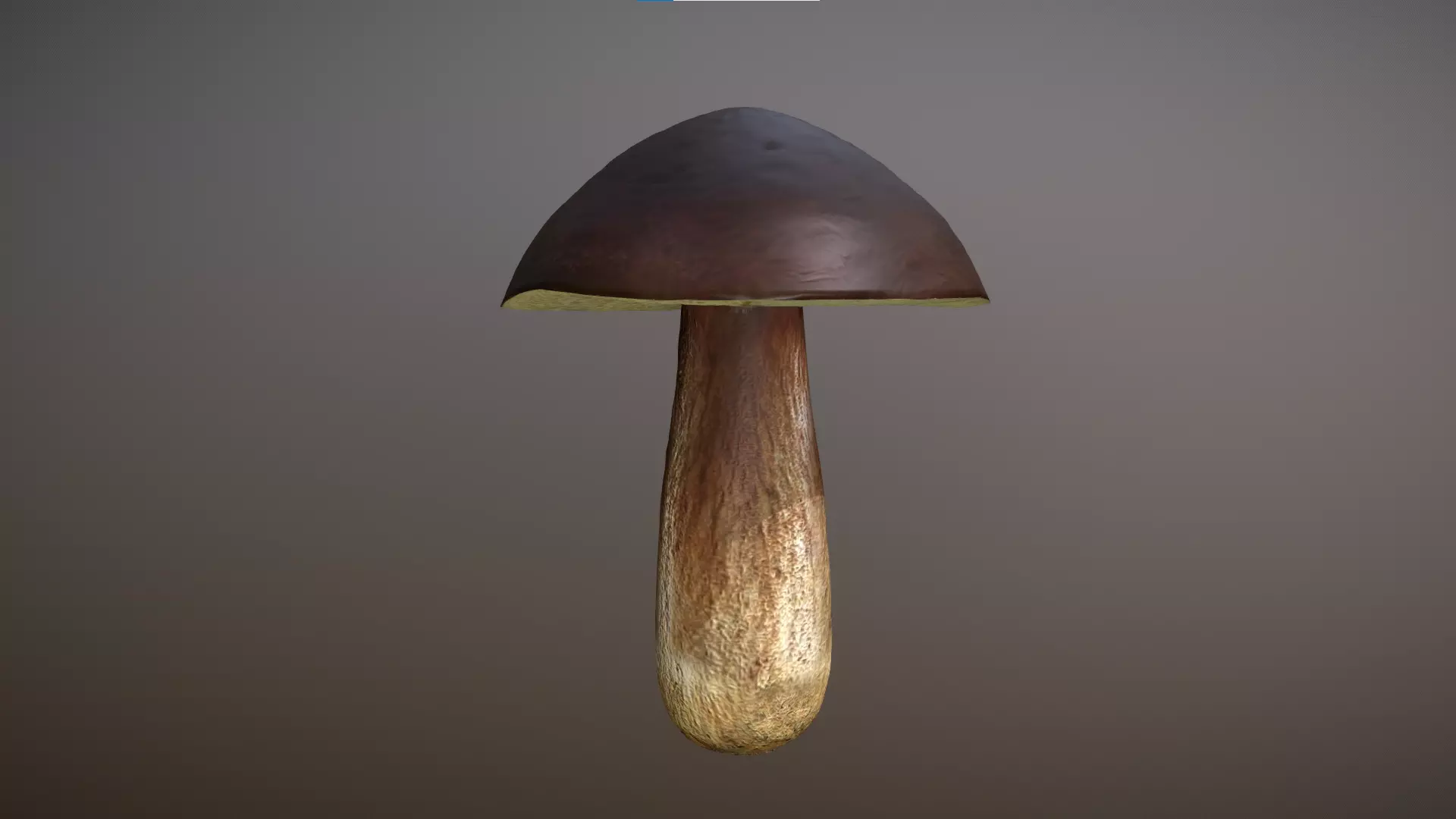 Mushroom - Boletus Edulis Free low-poly 3D model_0