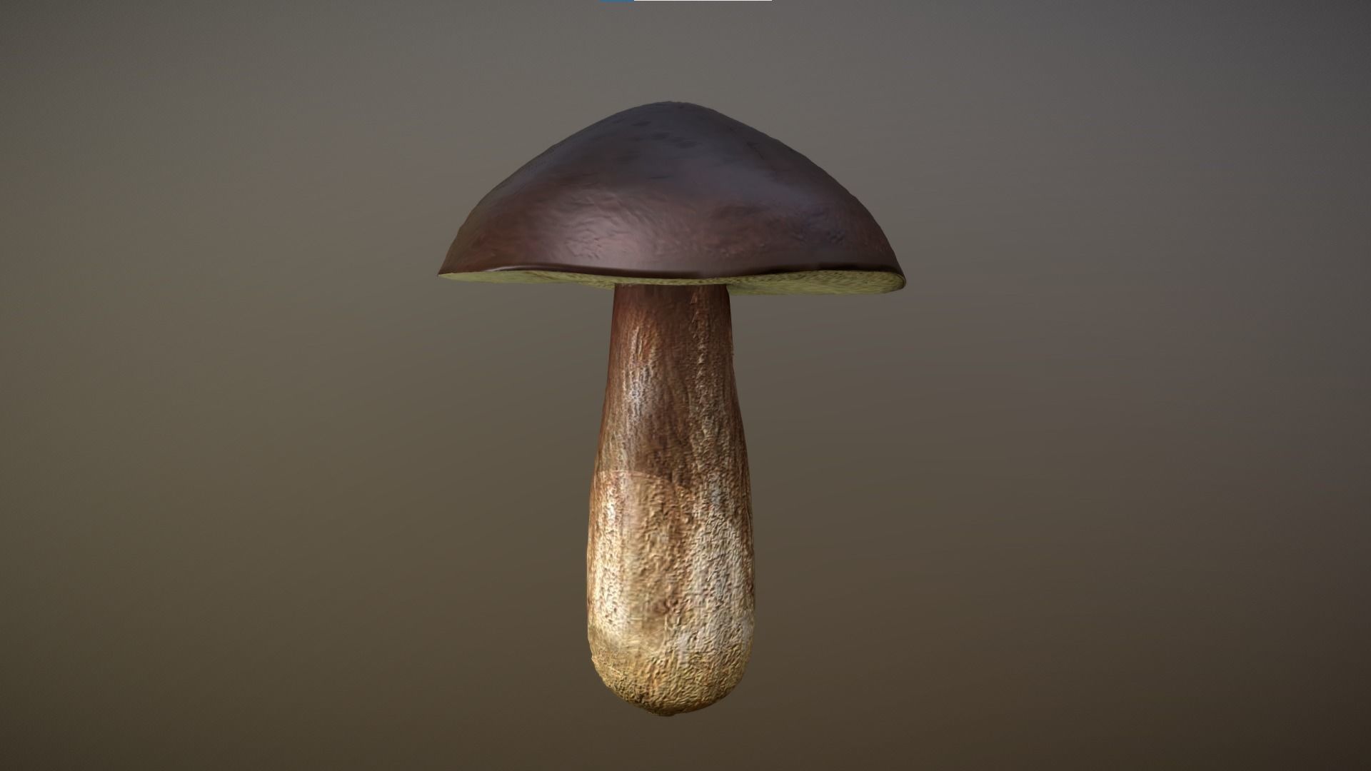 Mushroom - Boletus Edulis Free low-poly 3D model_4