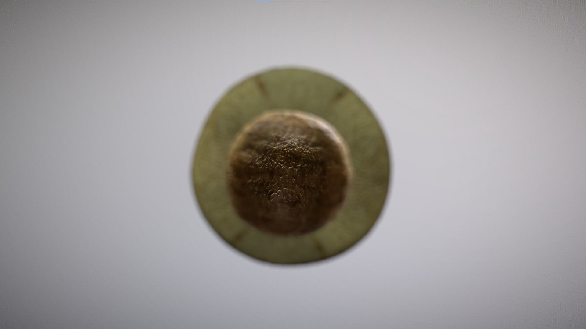 Mushroom - Boletus Edulis Free low-poly 3D model_17