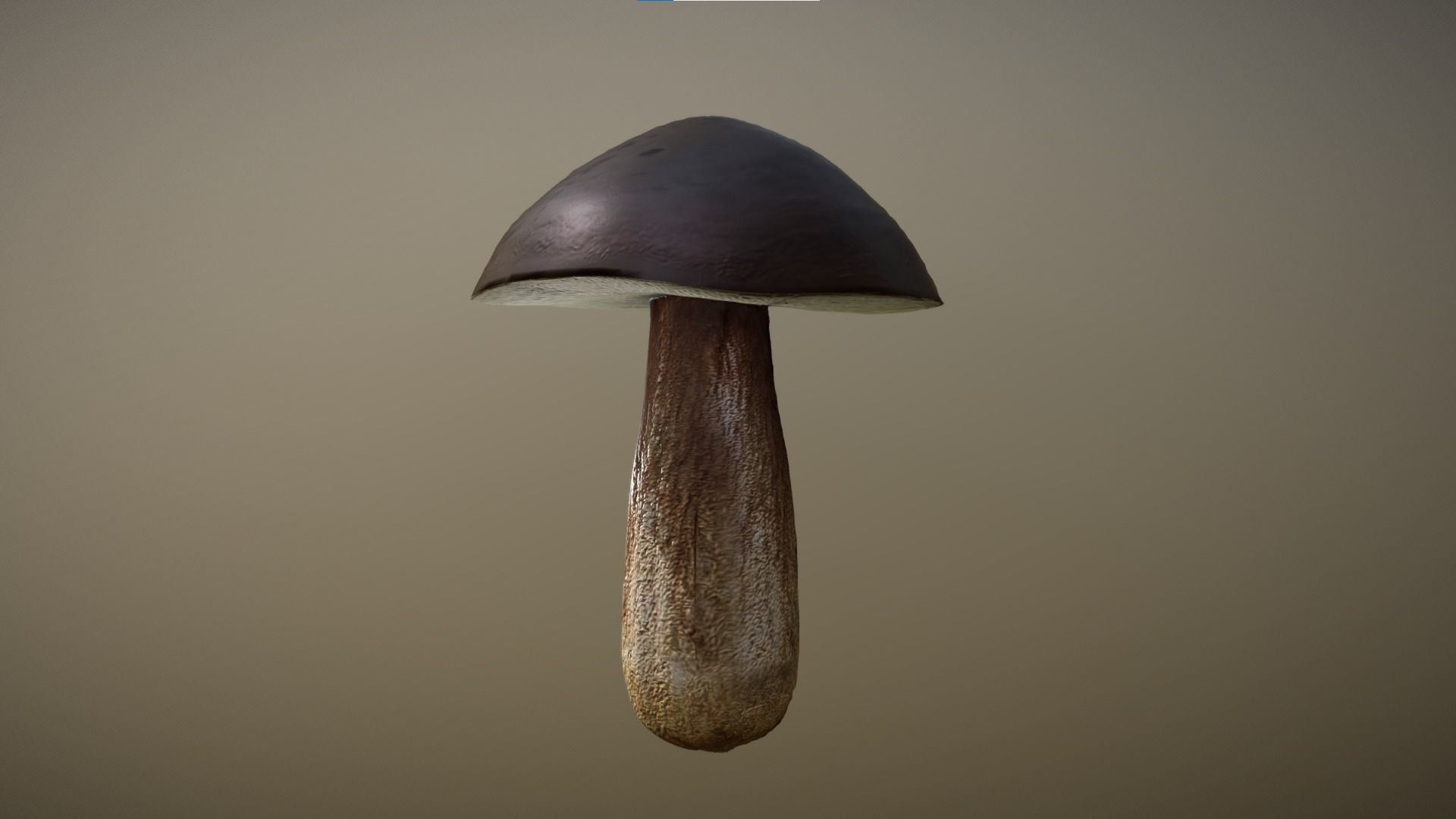 Mushroom - Boletus Edulis Free low-poly 3D model_5