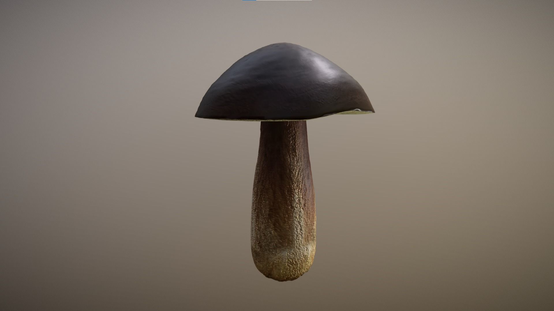 Mushroom - Boletus Edulis Free low-poly 3D model_3