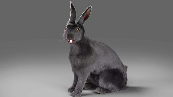 Fur Rabbit Gray V02 Rigged Low-poly 3D model