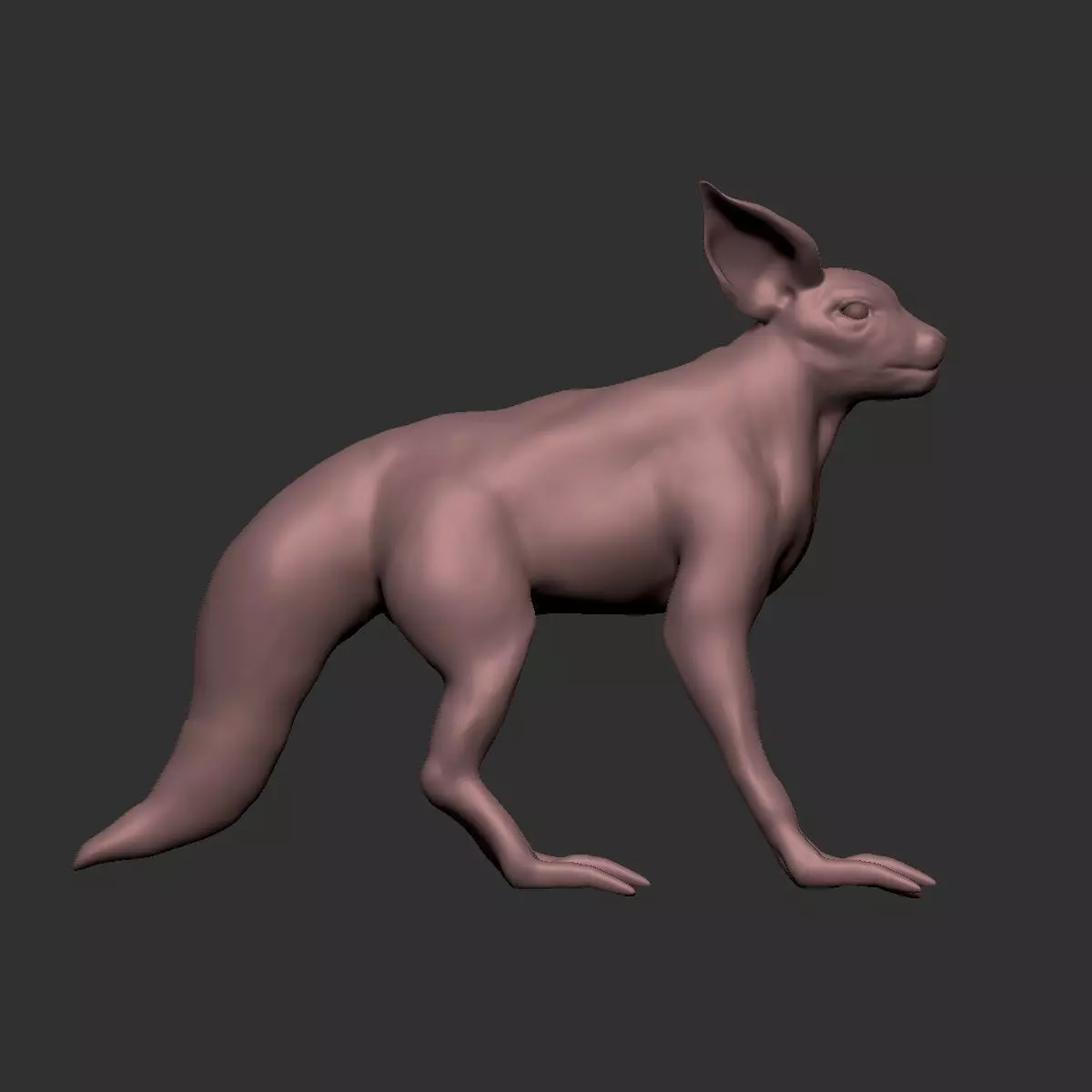 half cat half fox Low-poly 3D model_0