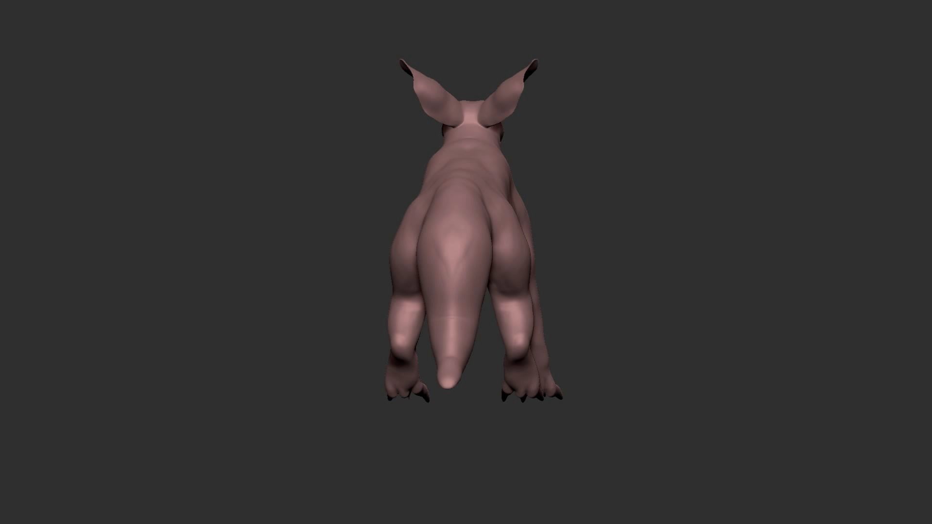 half cat half fox Low-poly 3D model_17