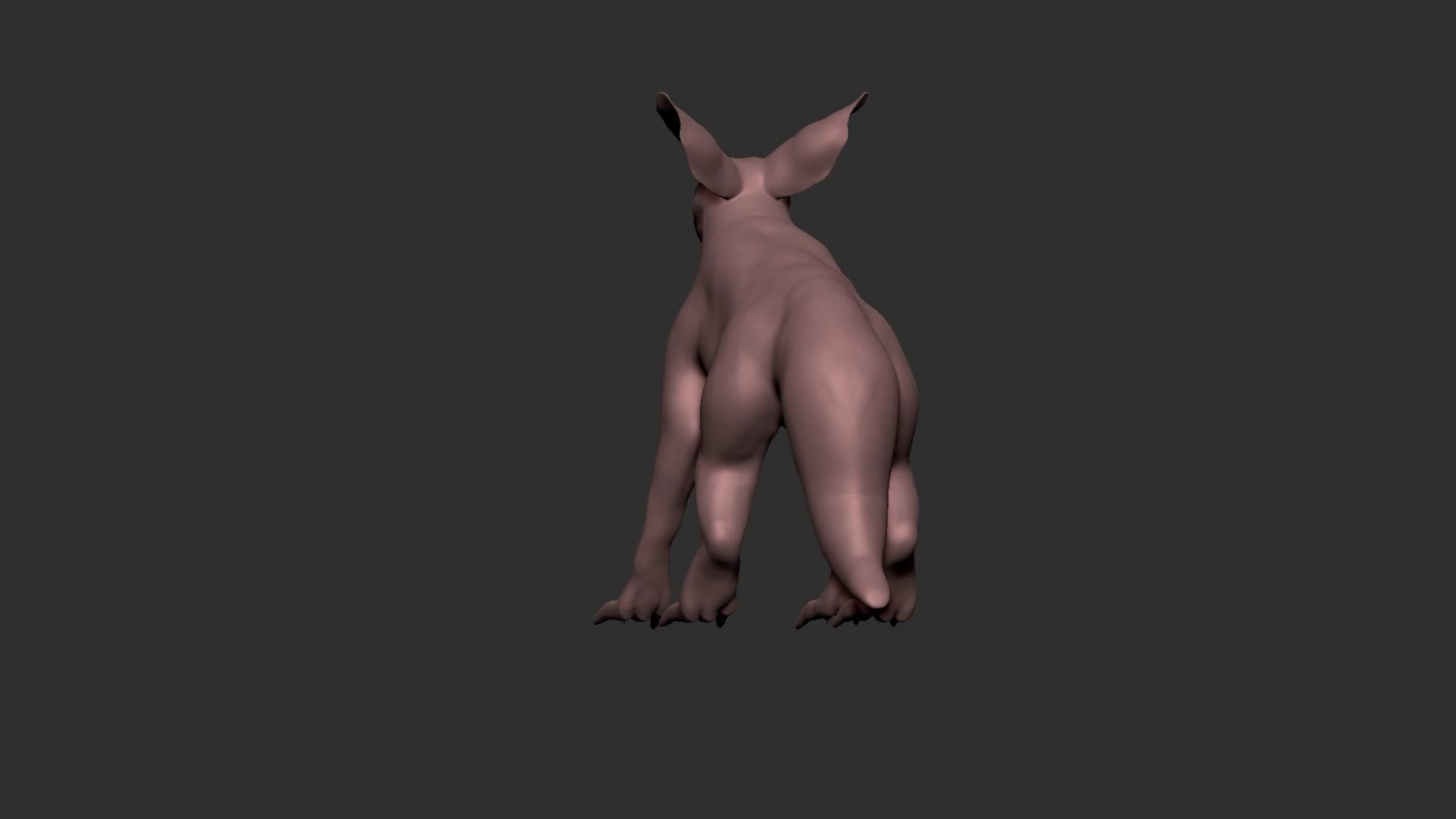half cat half fox Low-poly 3D model_18