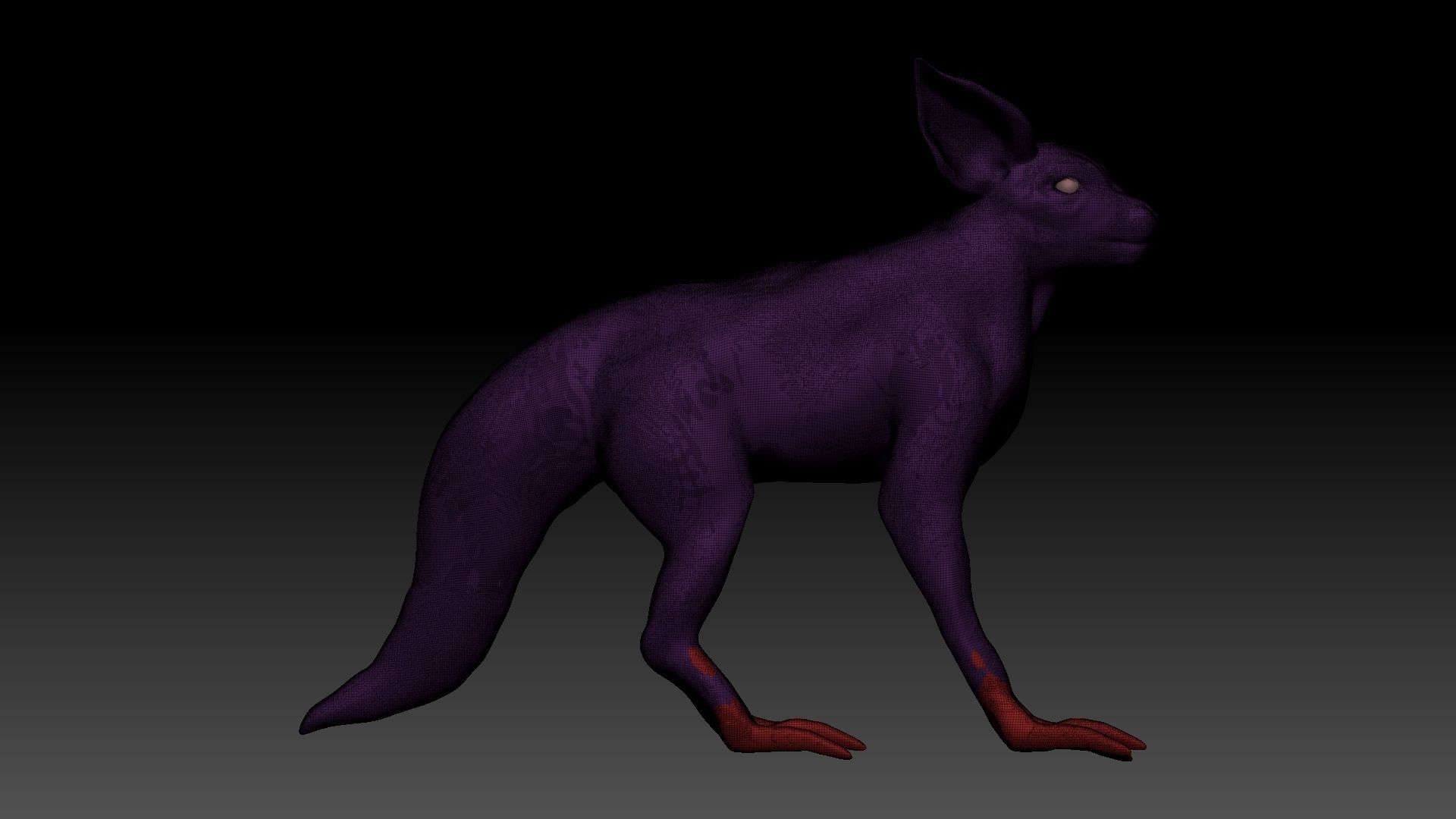 half cat half fox Low-poly 3D model_22