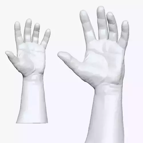 001183 opened hand 3d print ready