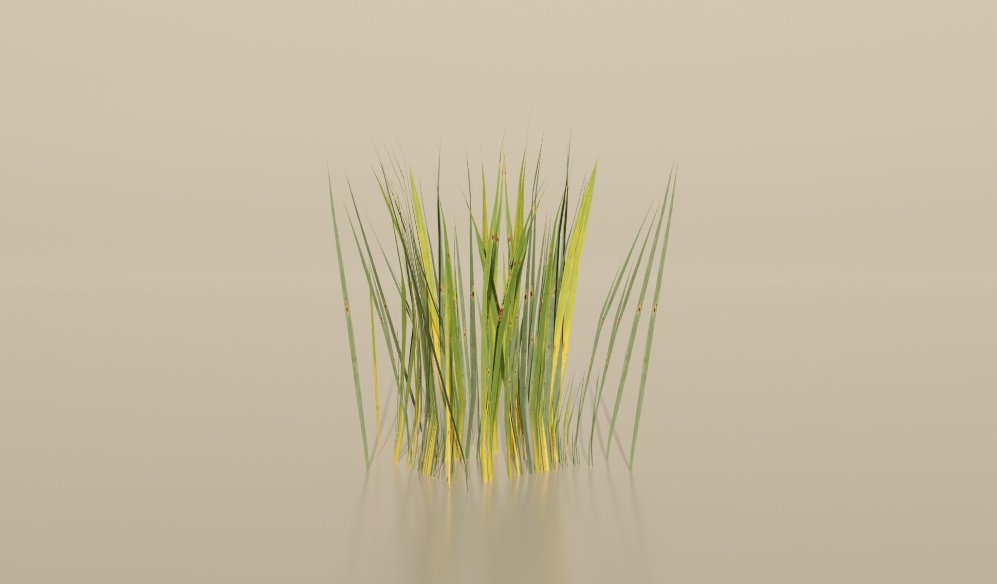 Realistic Grass Pack For Games Free low-poly 3D model_7