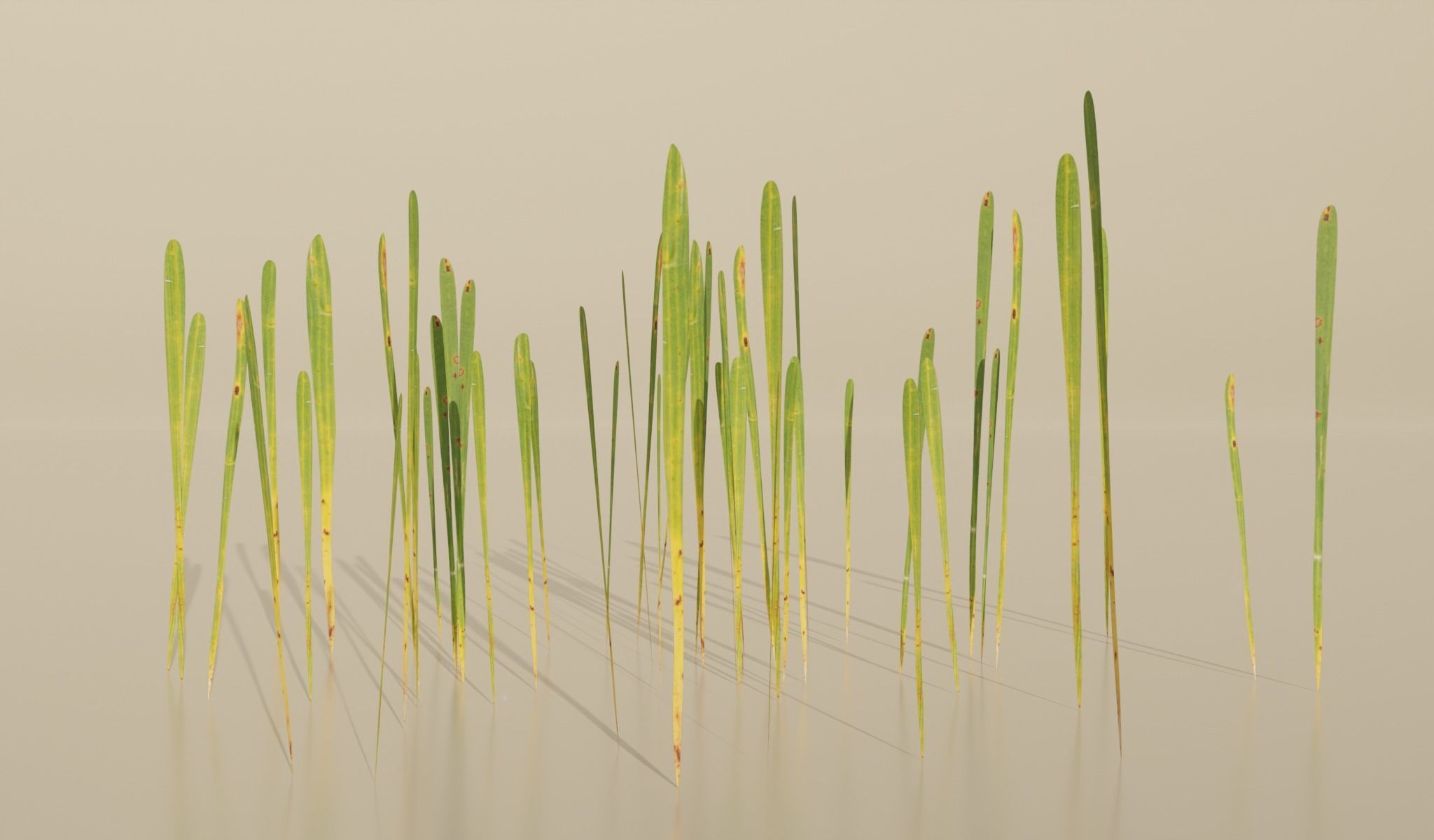 Realistic Grass Pack For Games Free low-poly 3D model_2
