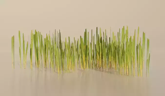Realistic Grass Pack For Games