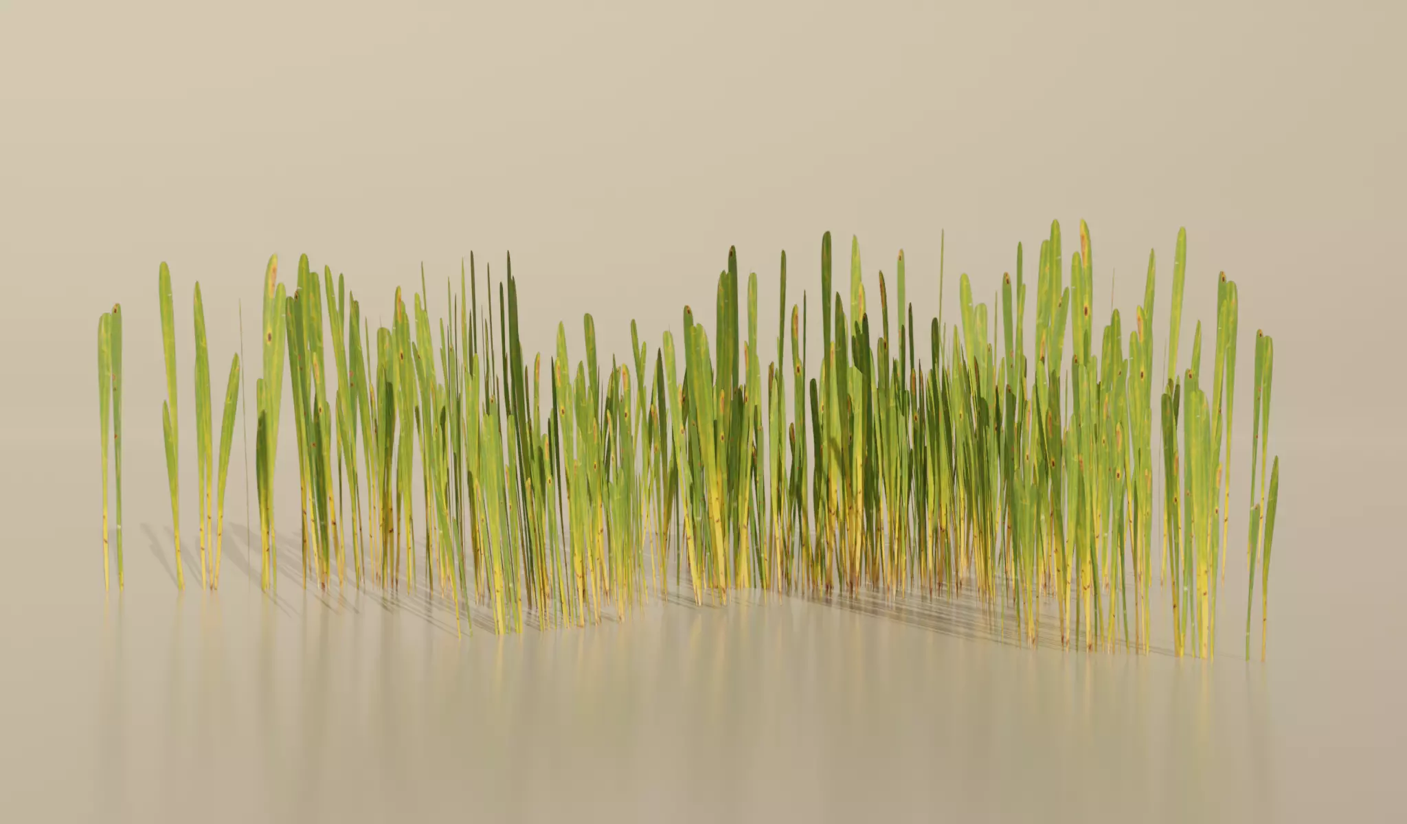 Realistic Grass Pack For Games Free low-poly 3D model_0