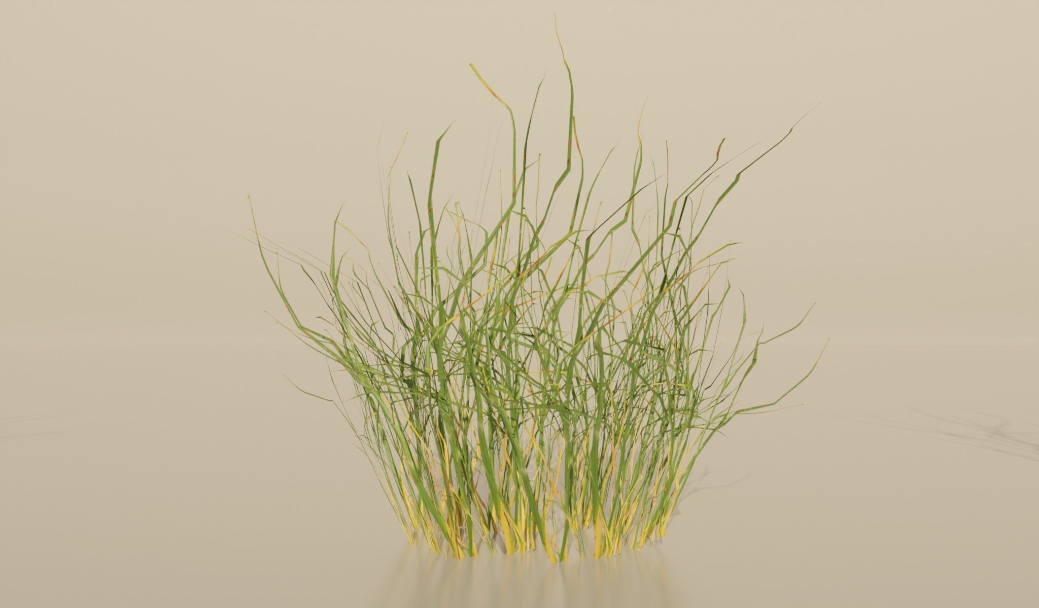 Realistic Grass Pack For Games Free low-poly 3D model_5