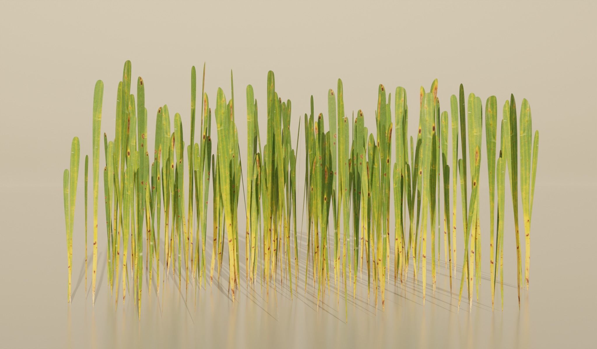 Realistic Grass Pack For Games Free low-poly 3D model_1