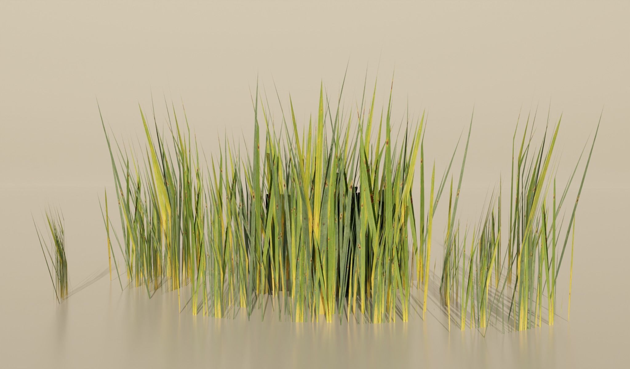 Realistic Grass Pack For Games Free low-poly 3D model_6