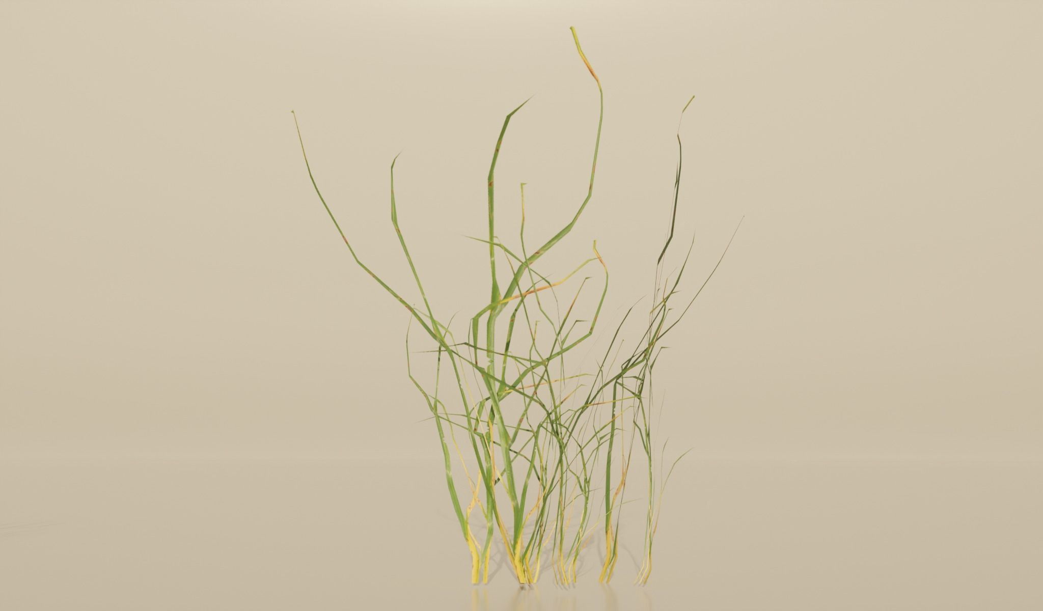 Realistic Grass Pack For Games Free low-poly 3D model_4