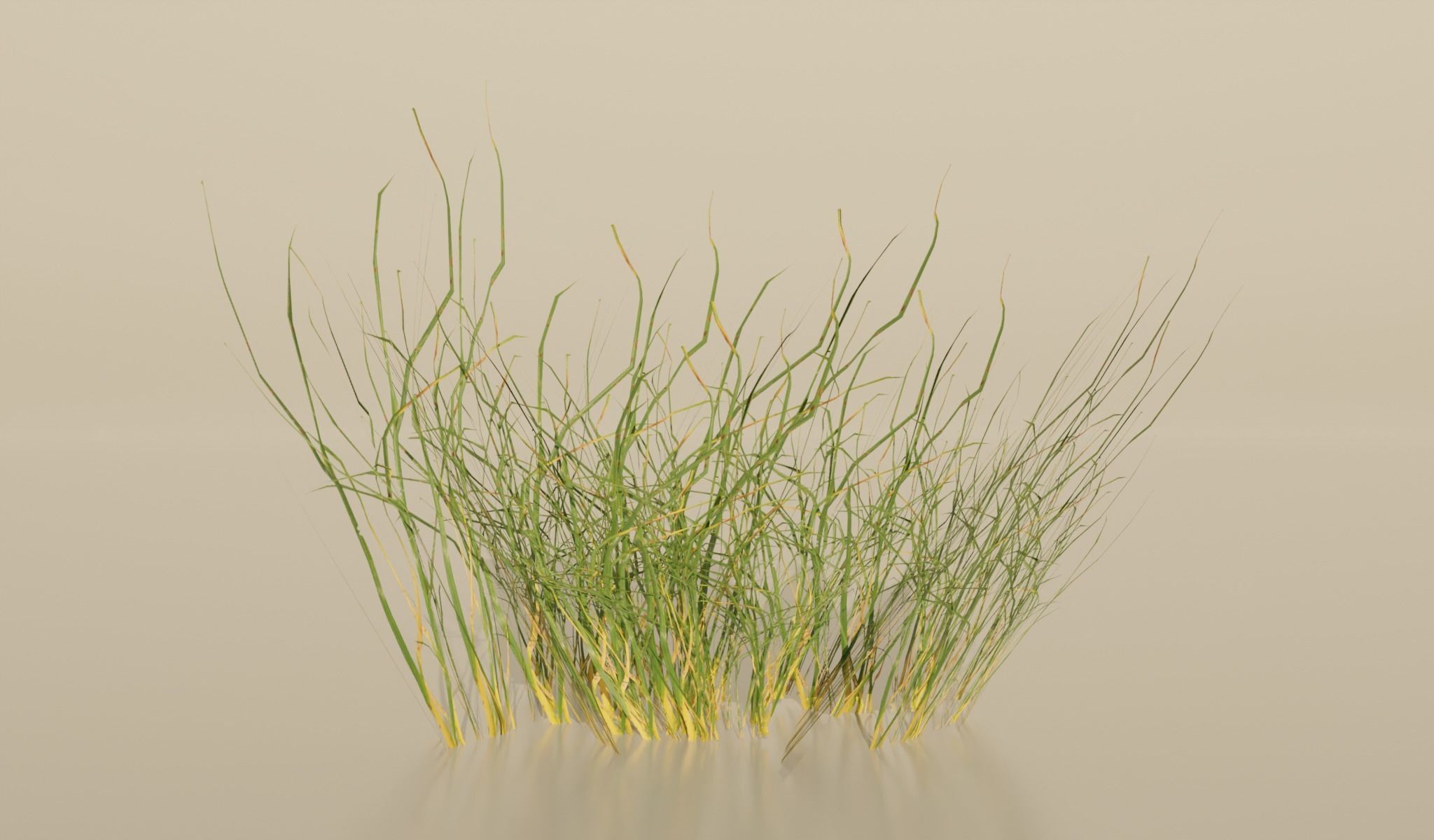 Realistic Grass Pack For Games Free low-poly 3D model_3