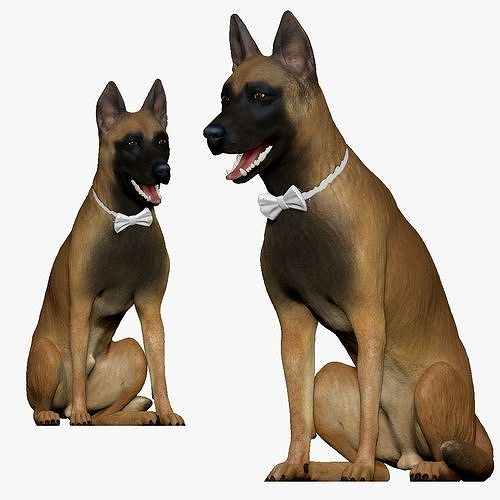 001207 shepherd 3dp 3D print model