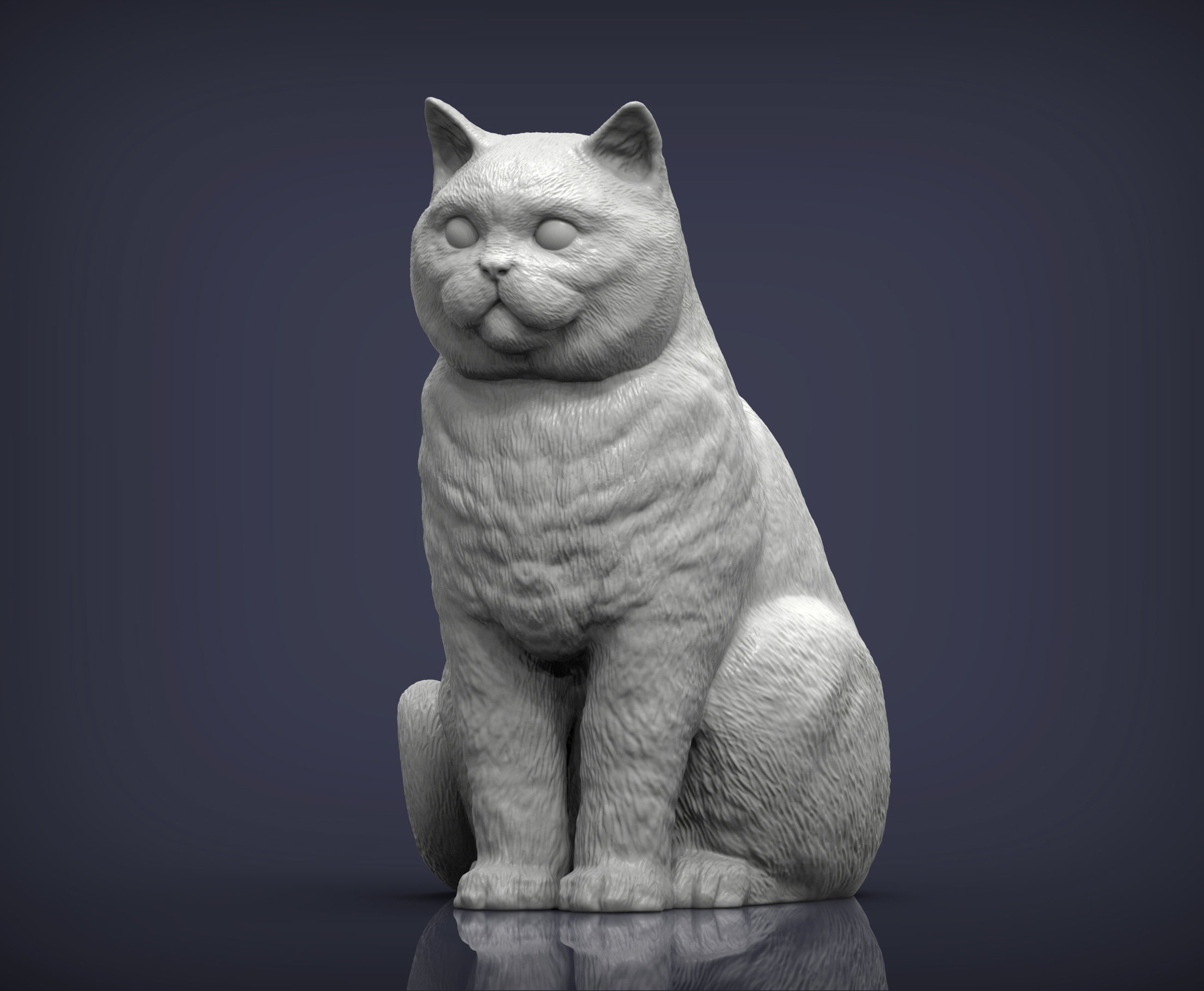 british shorthair cat 3D print model_3