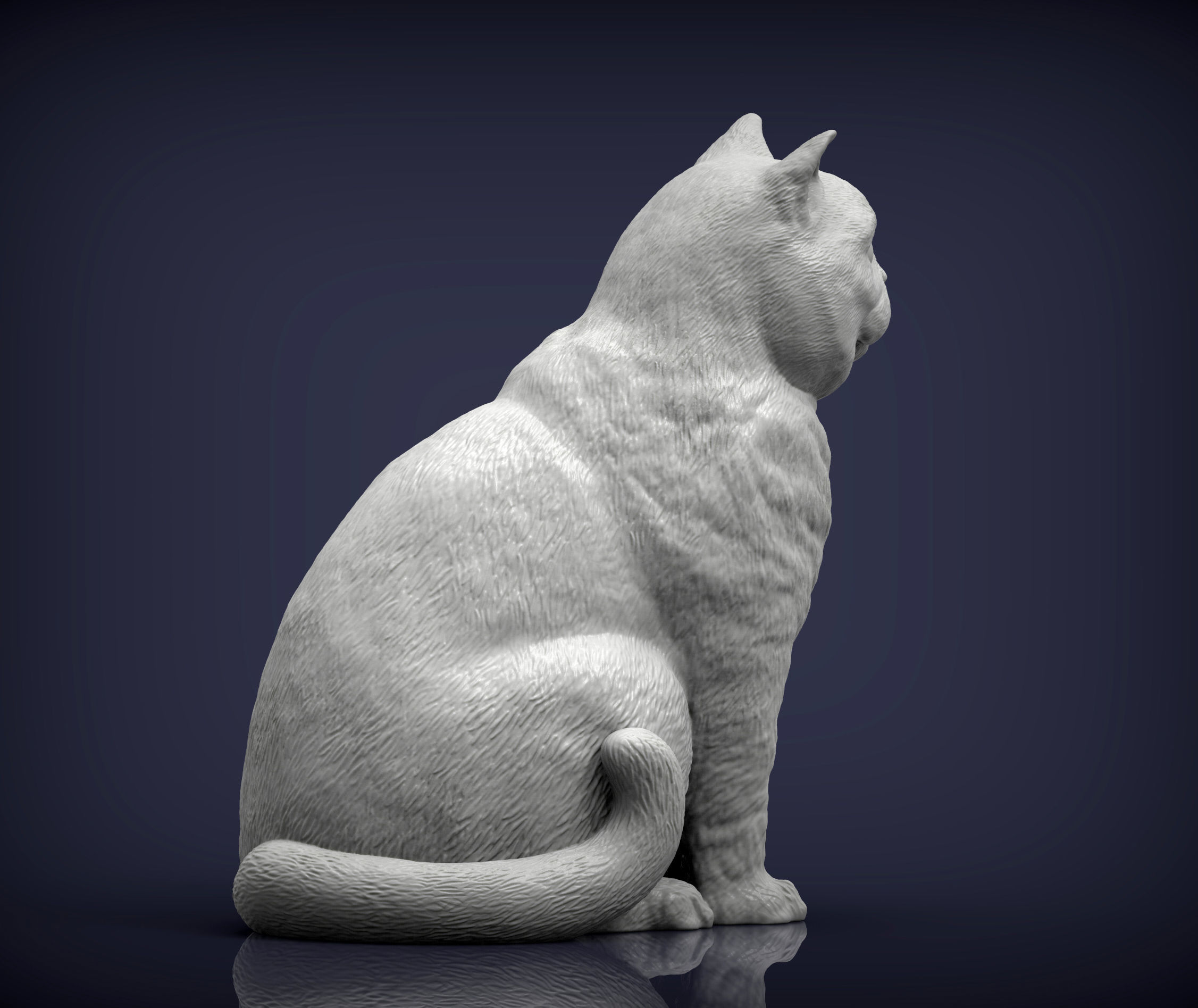 british shorthair cat 3D print model_5