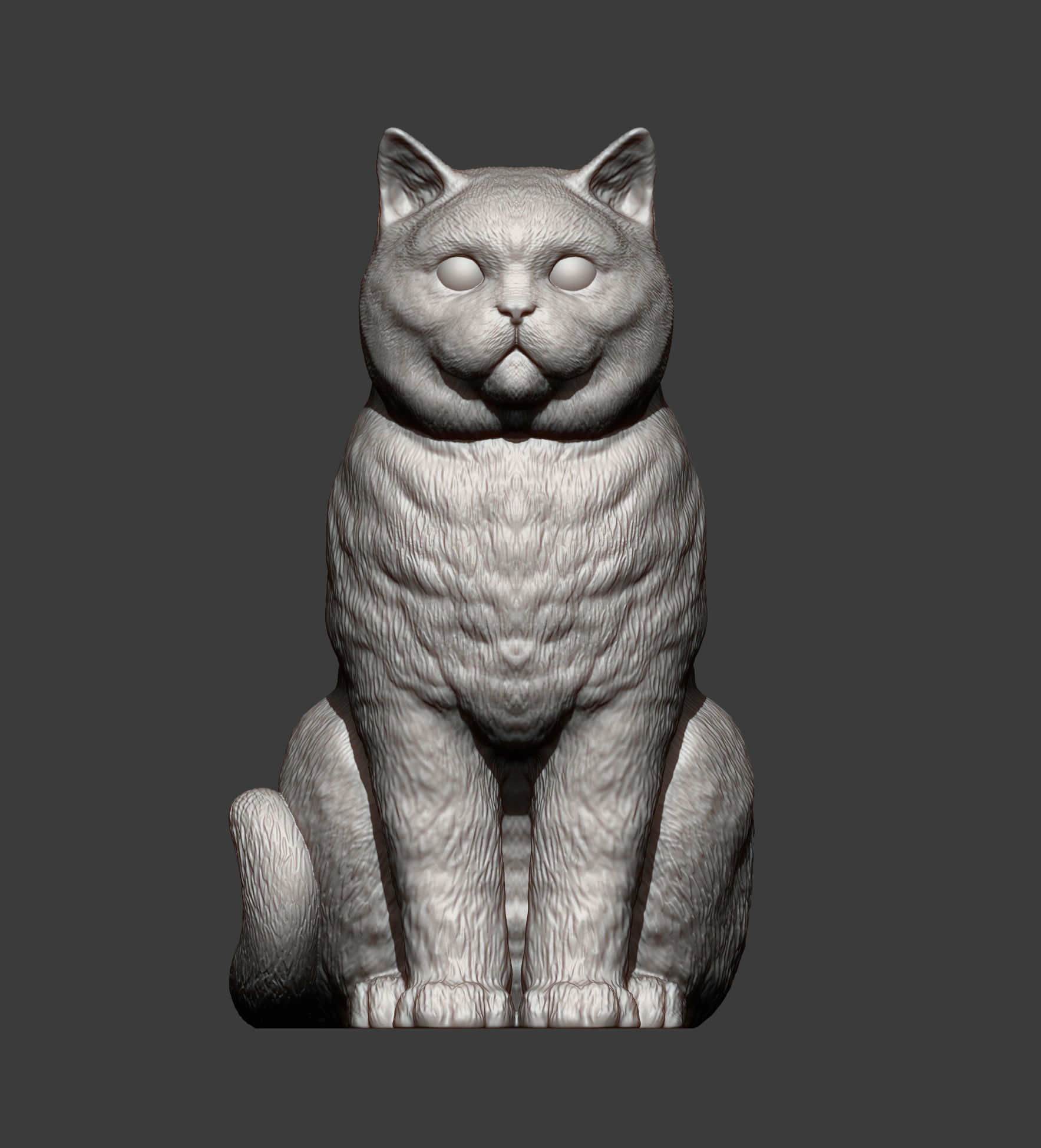 british shorthair cat 3D print model_12