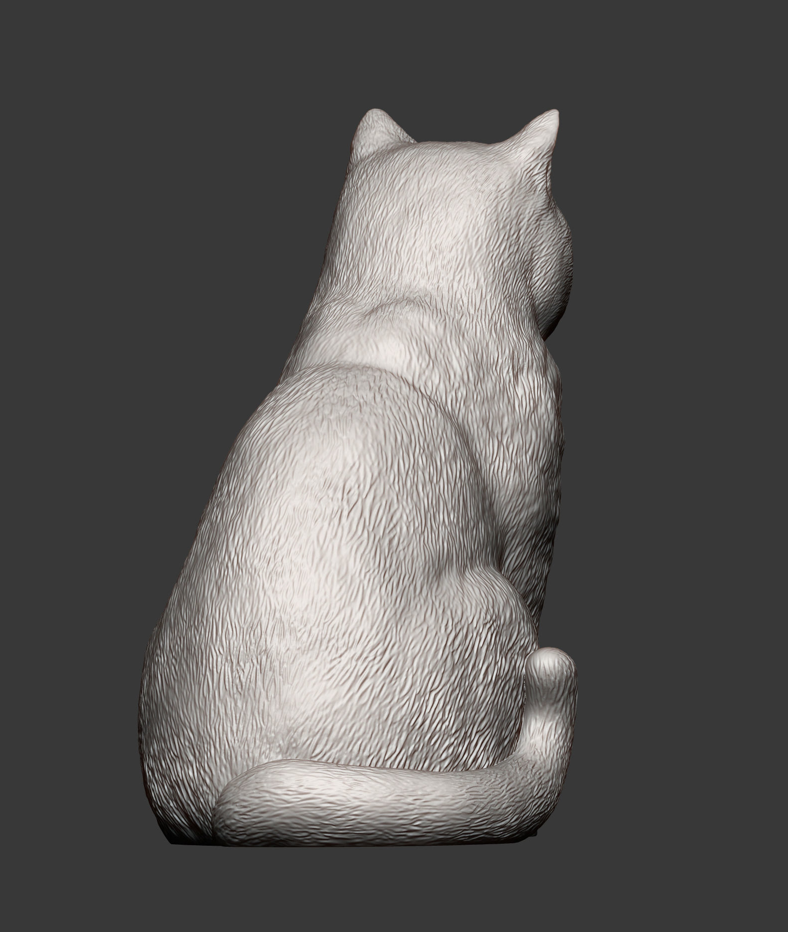 british shorthair cat 3D print model_8