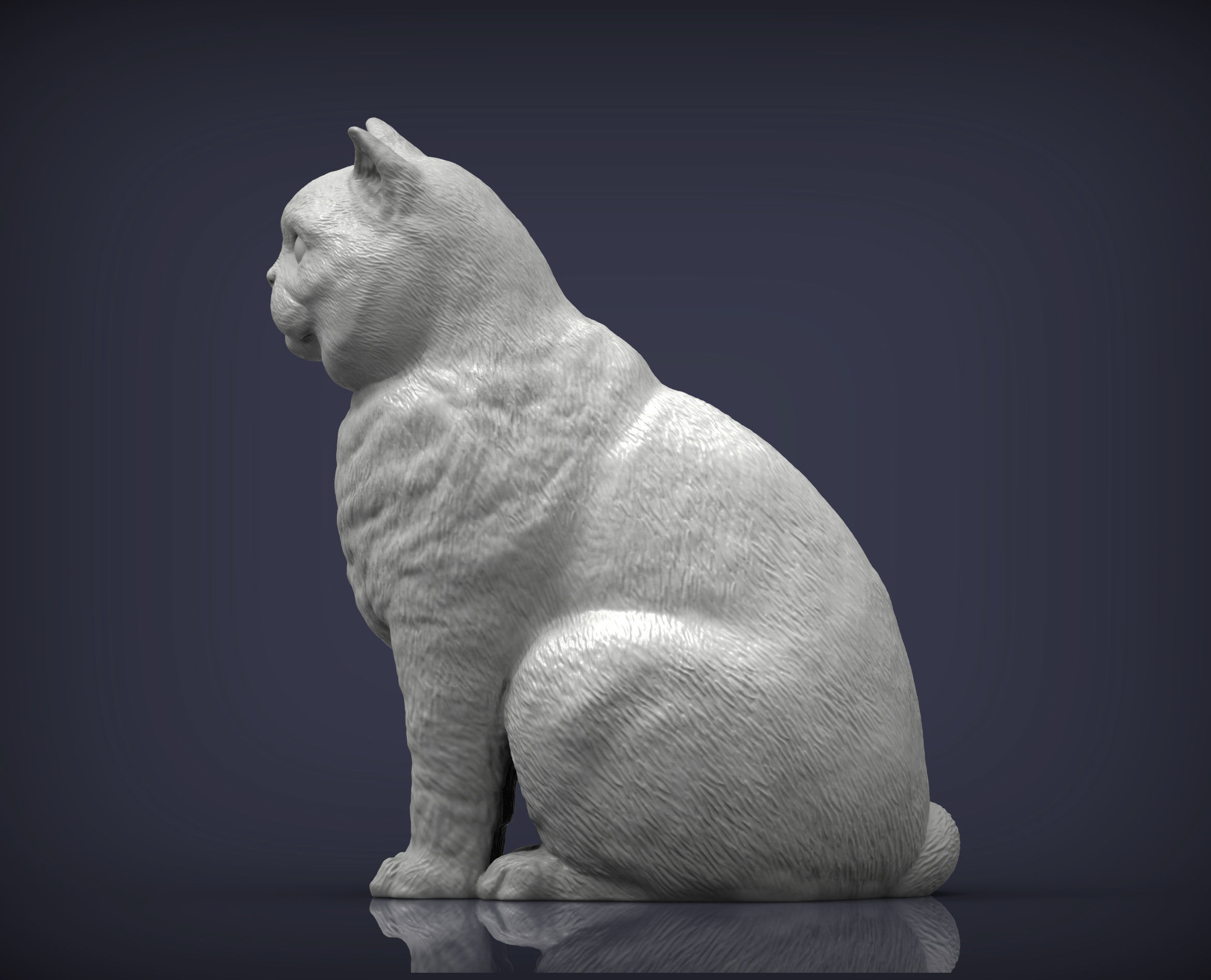 british shorthair cat 3D print model_7