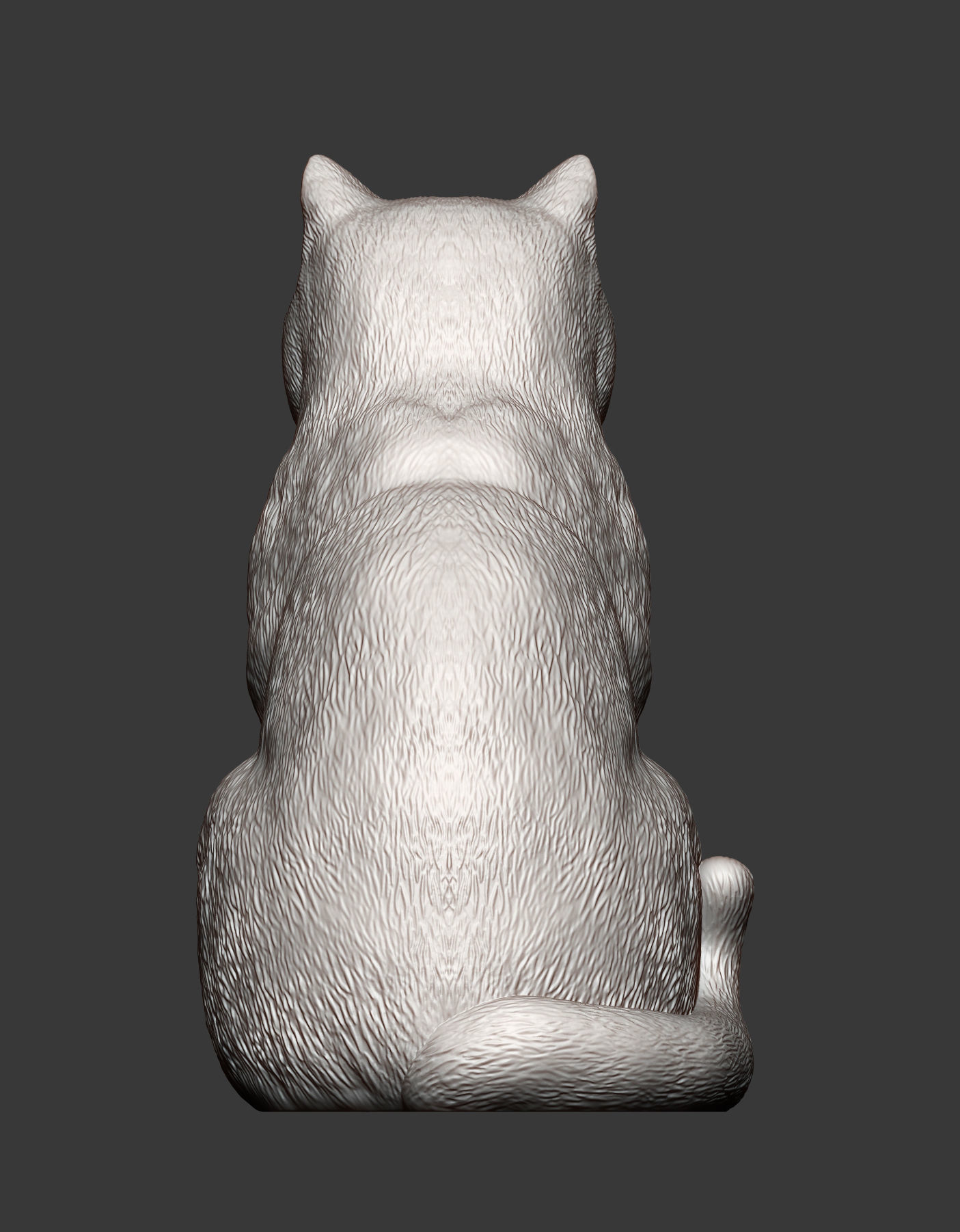 british shorthair cat 3D print model_9