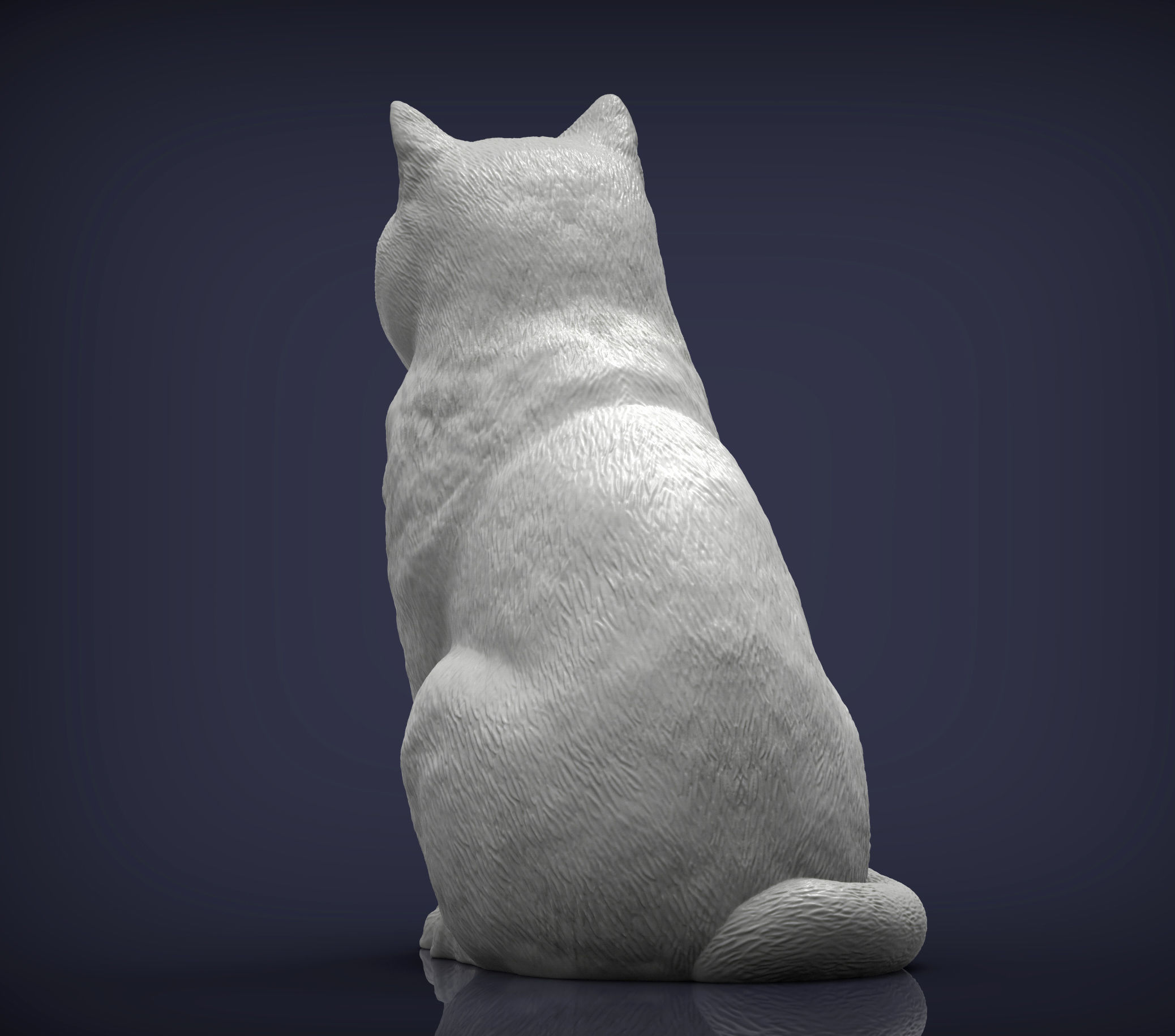 british shorthair cat 3D print model_4