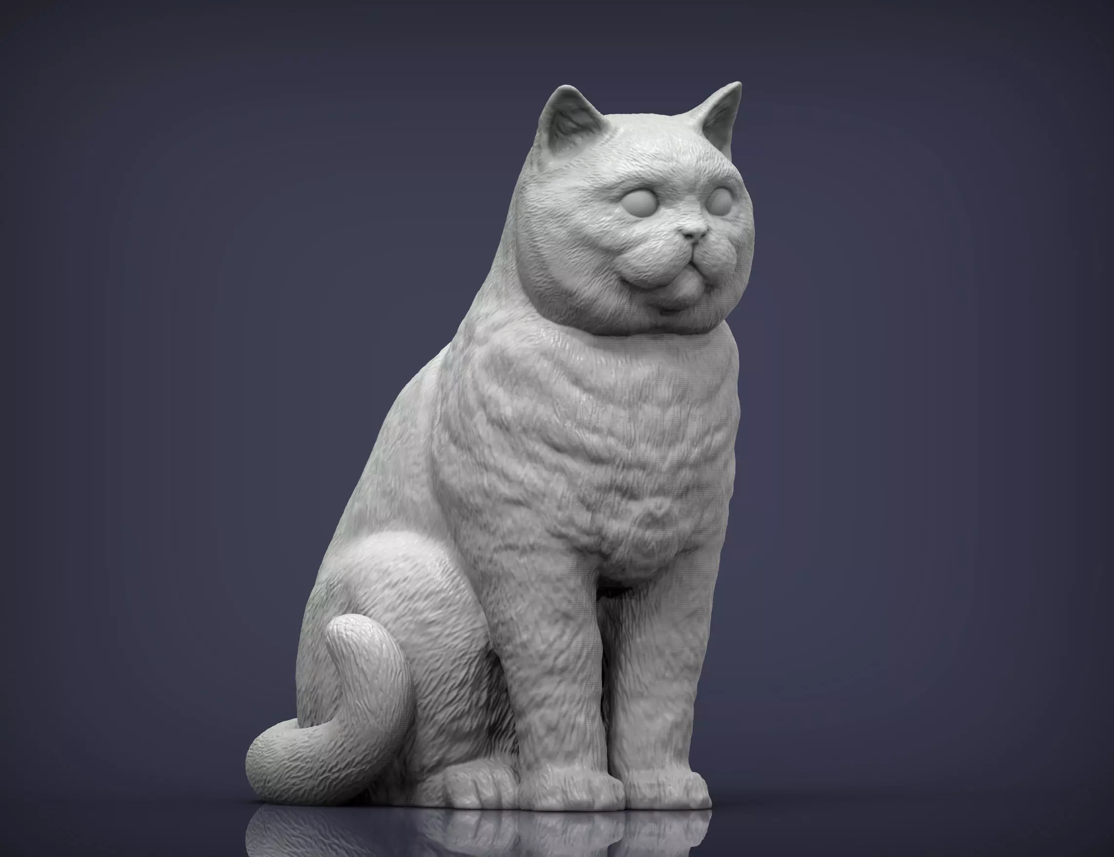 british shorthair cat 3D print model_0