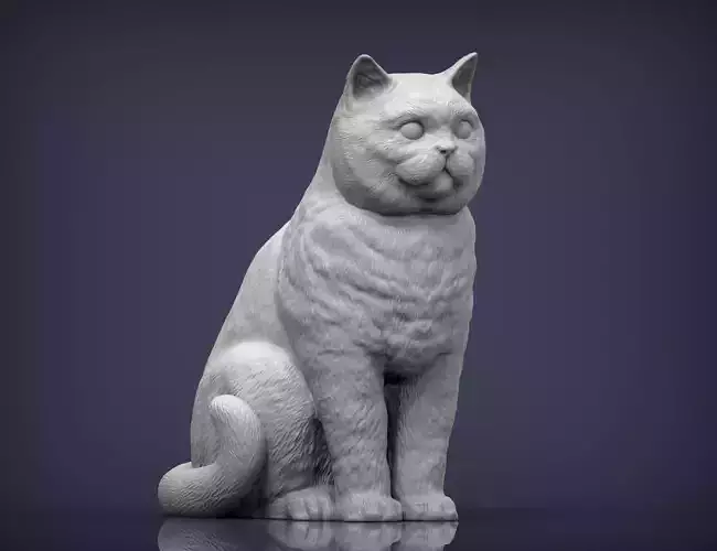 british shorthair cat 3D print model