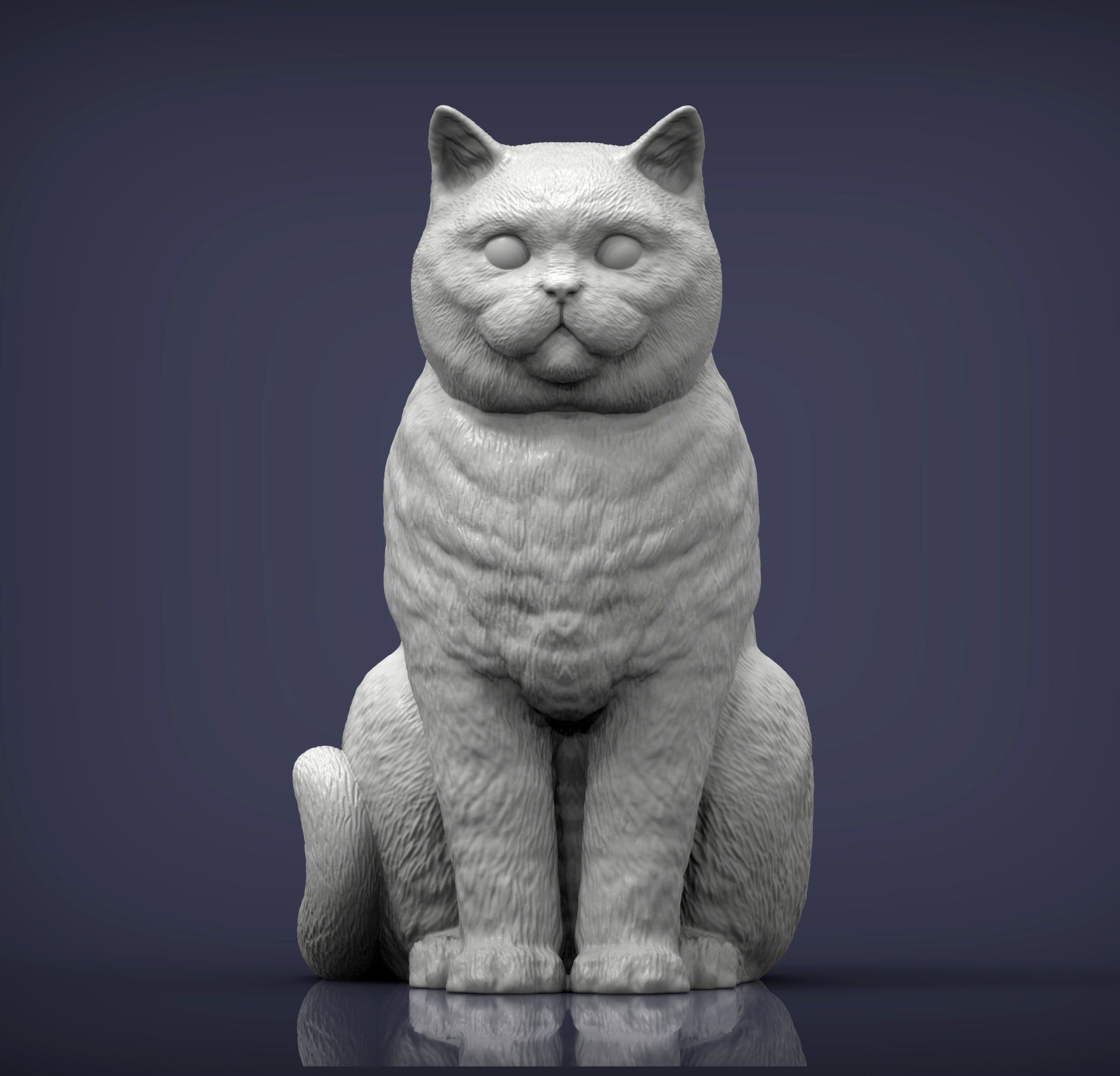 british shorthair cat 3D print model_2