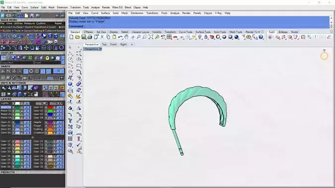 earrings computer screen showing head
