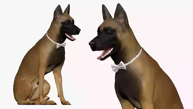 001266 smiling dog with butterfly