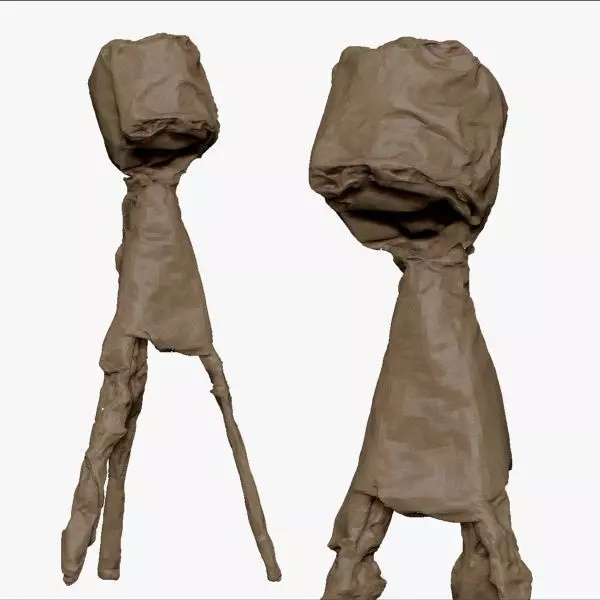 001275 the light hiden under dark coat lowpoly 3dp 3D print model_0