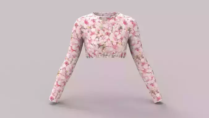 Slim Fit Long Sleeve Crop Top