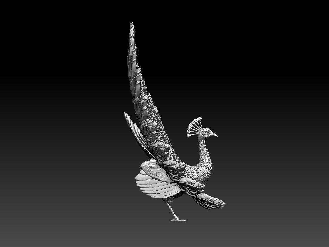 peacock 3D print model_34