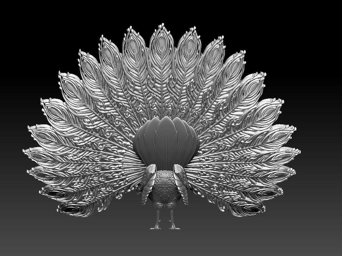 peacock 3D print model_29