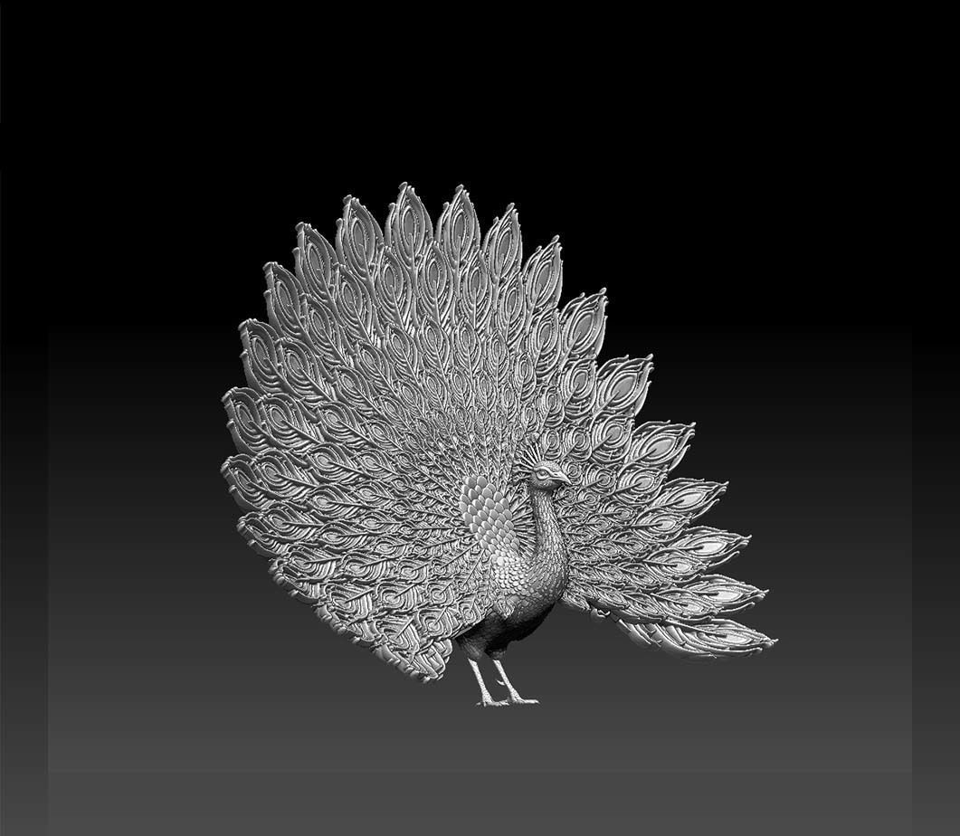 peacock 3D print model_12