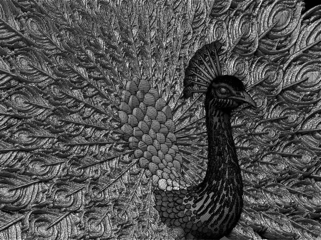 peacock 3D print model_33