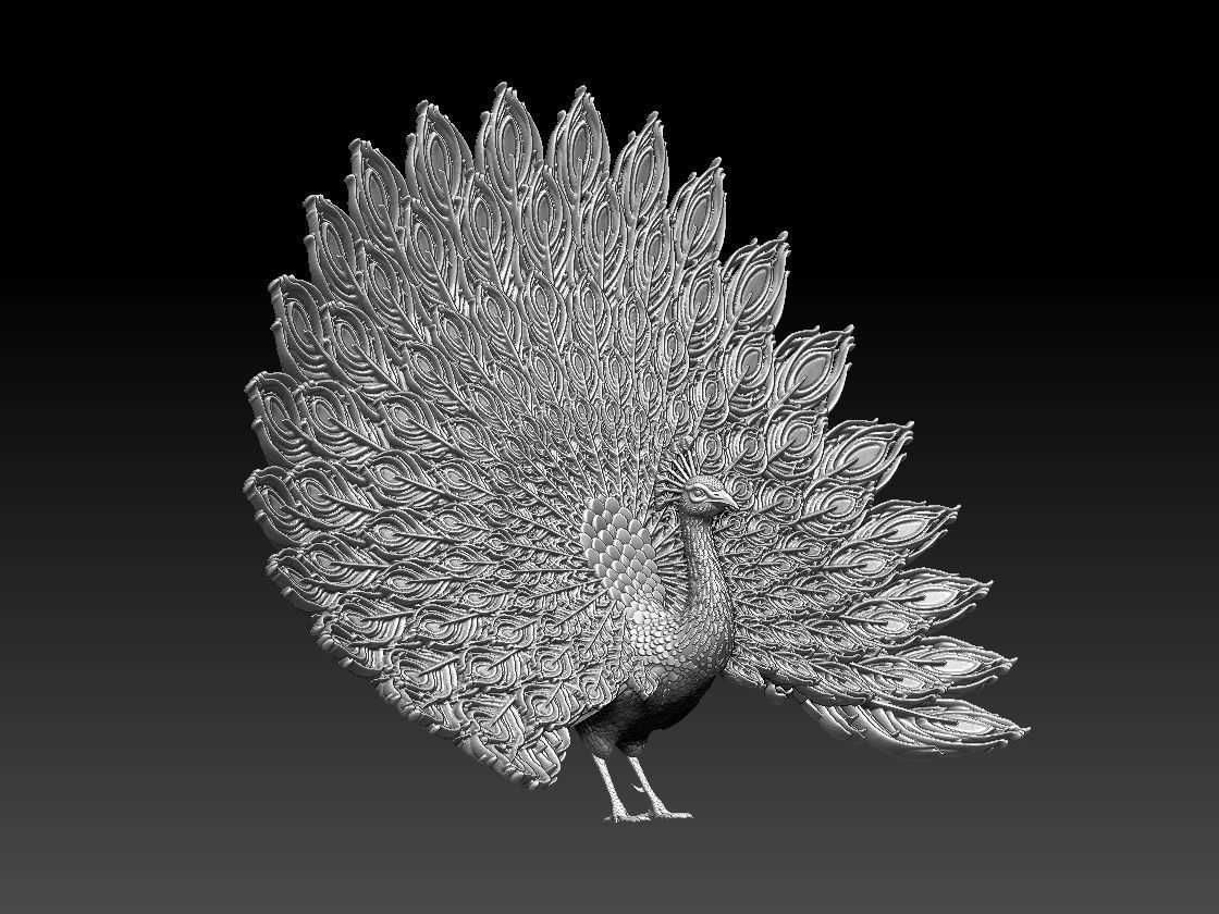 peacock 3D print model_26