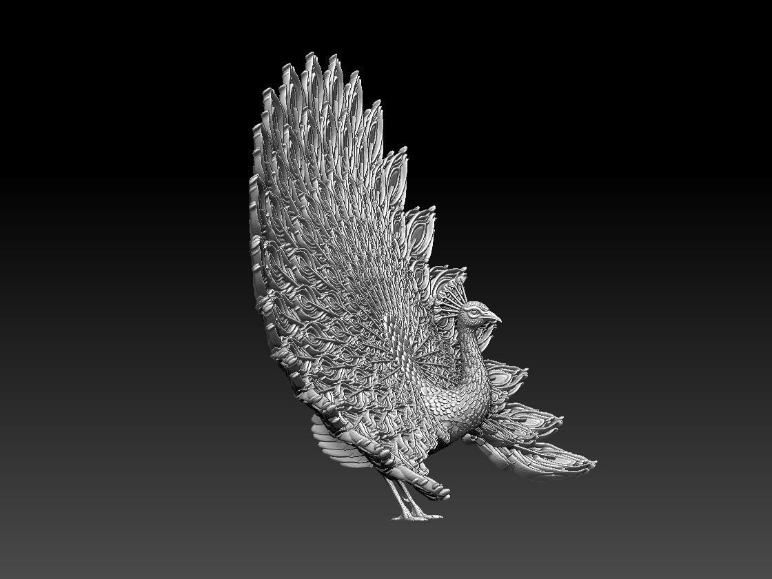 peacock 3D print model_31
