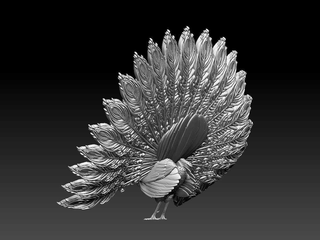 peacock 3D print model_15