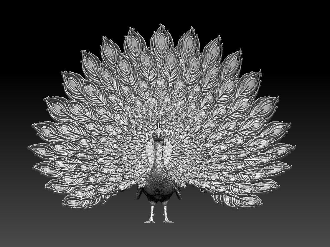 peacock 3D print model_11