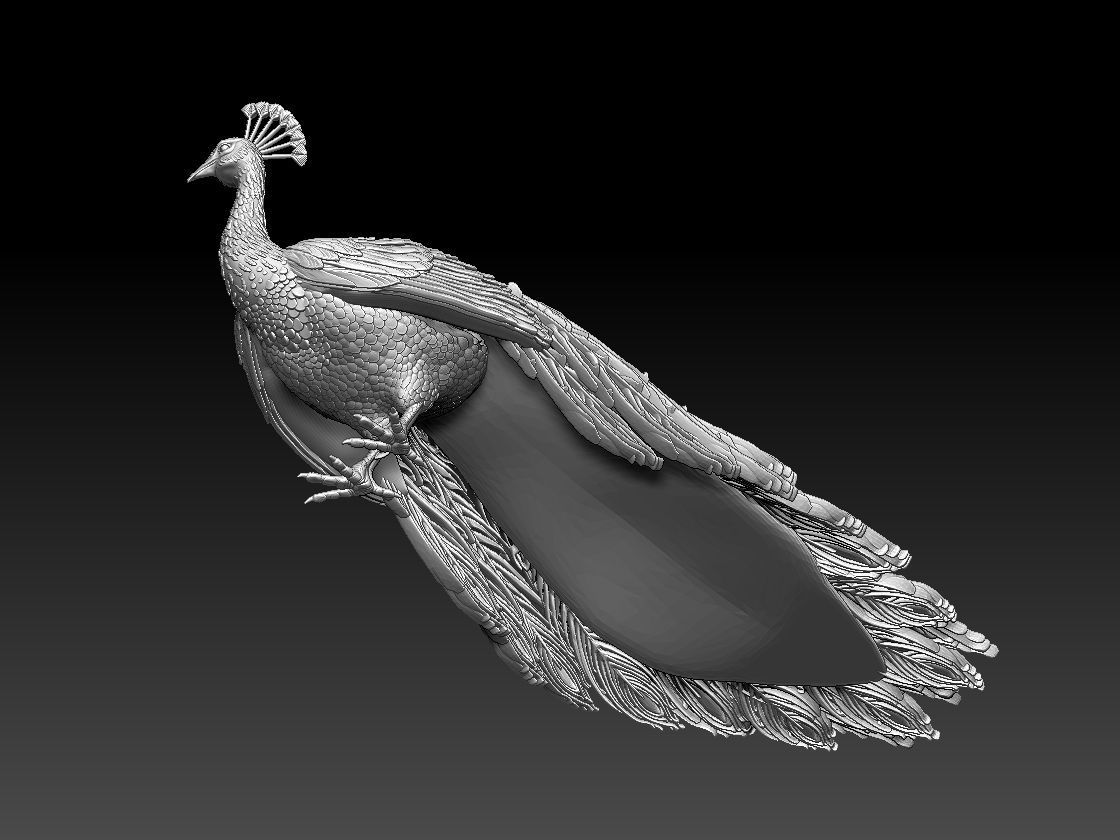 peacock 3D print model_6