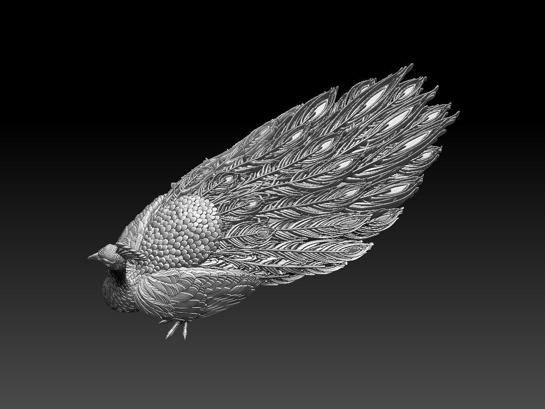 peacock 3D print model_46