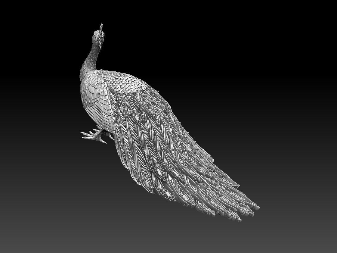 peacock 3D print model_40
