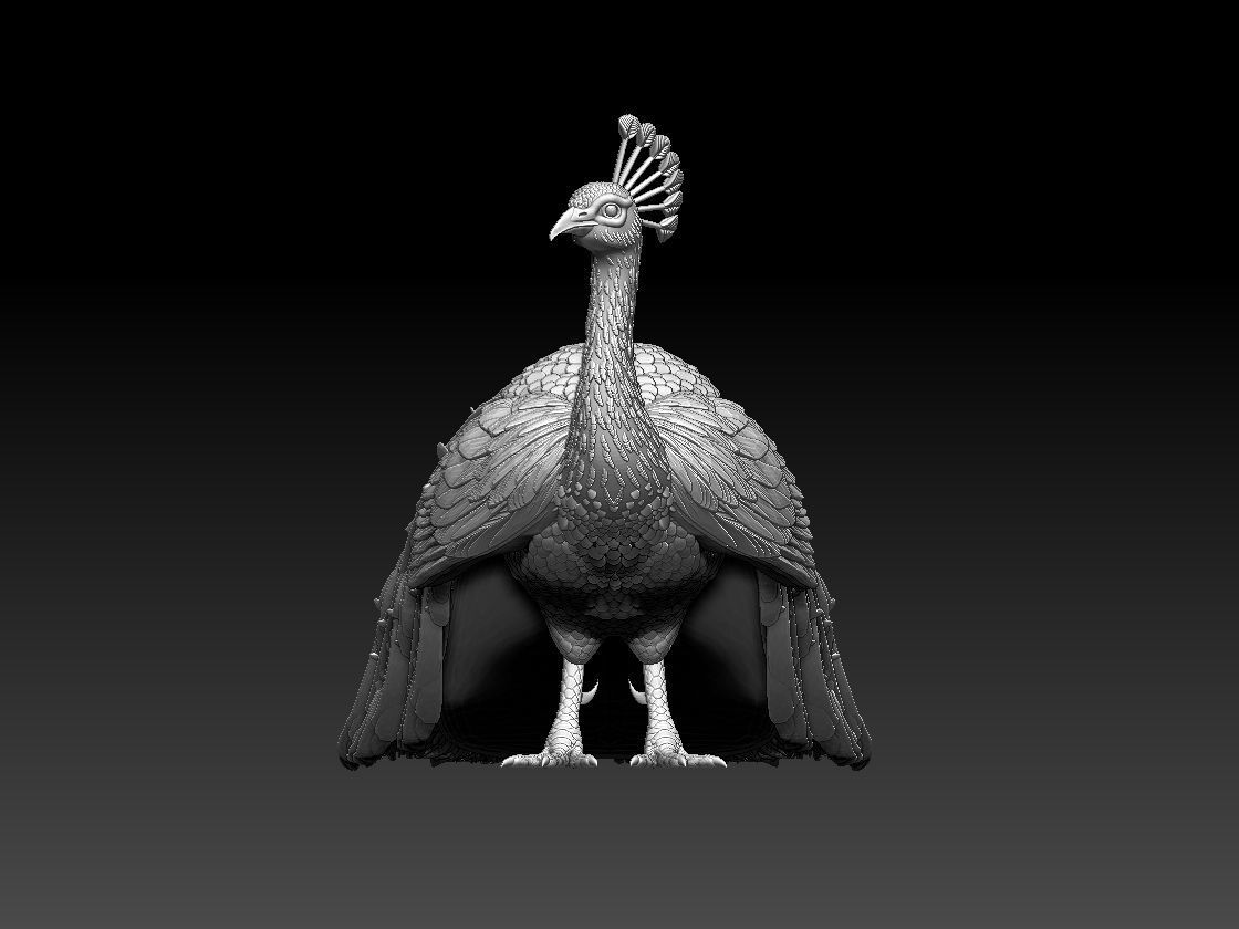 peacock 3D print model_7